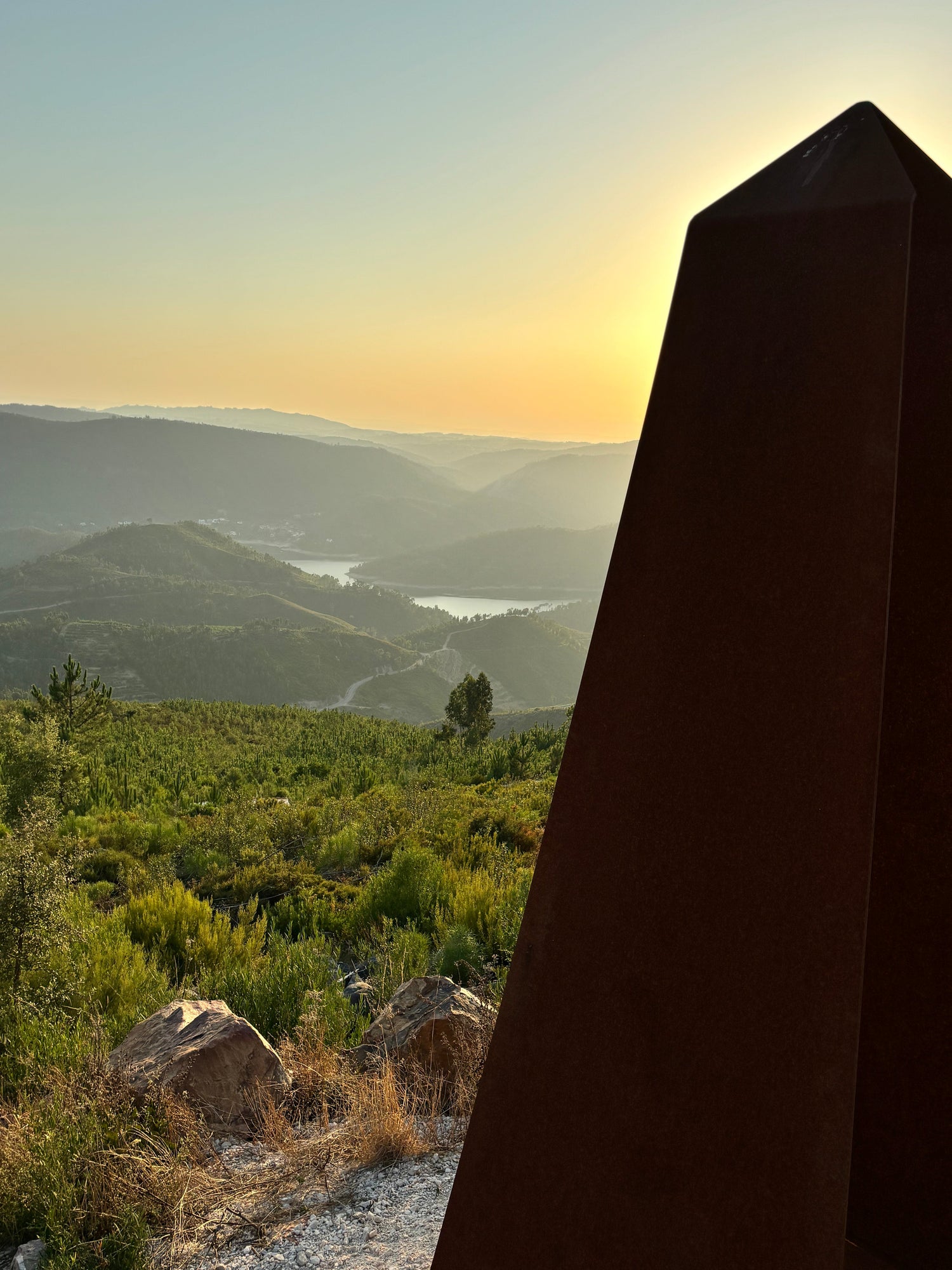 Frascos de Mel+ artesanal da Tipicaria alinhados numa mesa rústica, com fundo quente.
